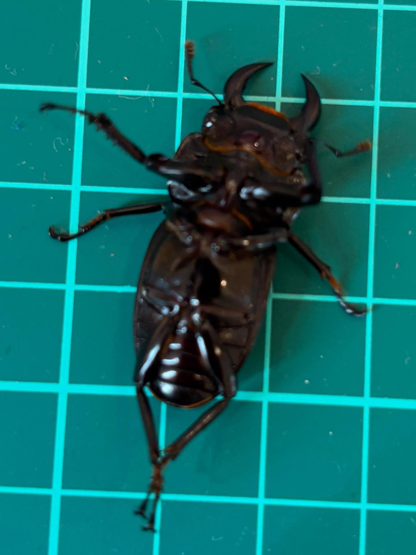 有識者に聞きたいです！