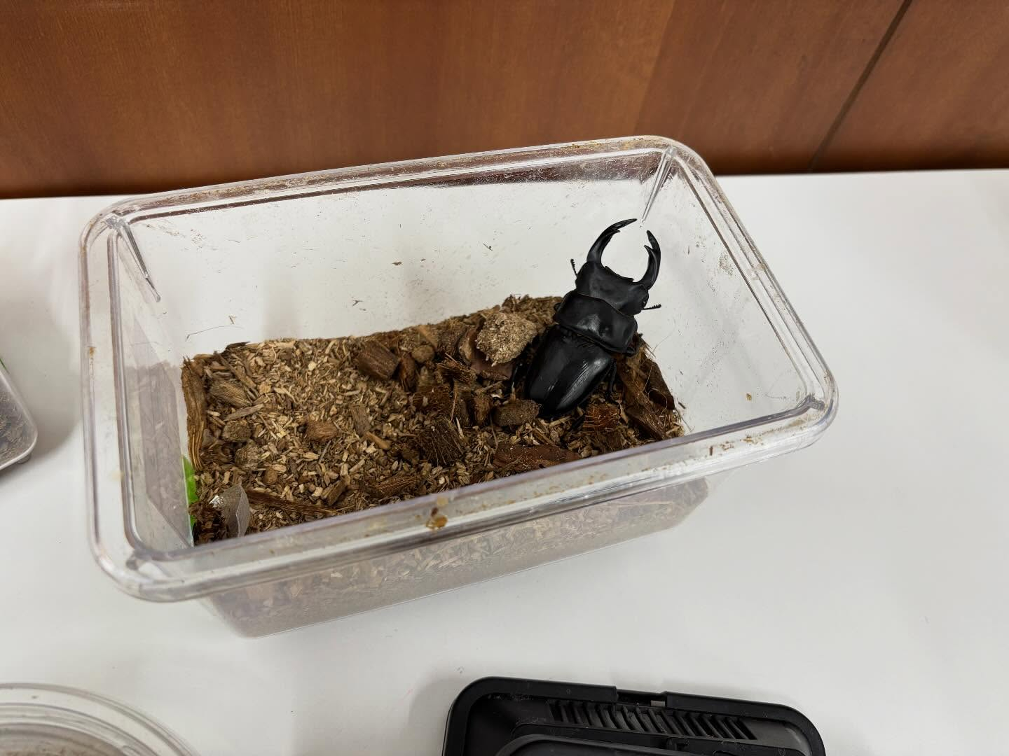 本日、美濃市健康文化センターの